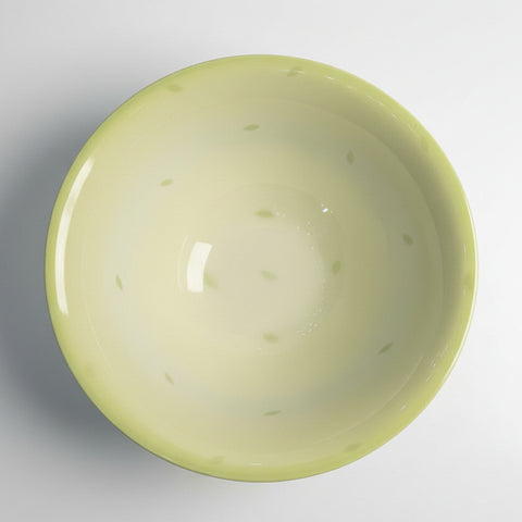 Poole Pottery Fraiche Soup/Cereal Bowl