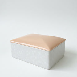 Poole Pottery Peach & Seagull (C97) Cigarette Box - RARE