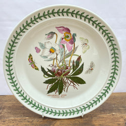 Portmeirion The Botanic Garden Dinner Plate - Christmas Rose