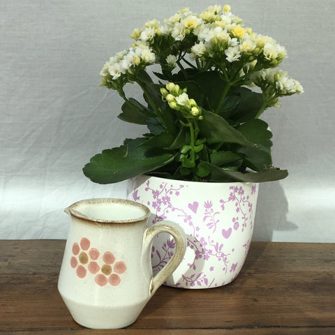 Denby Gypsy Cream Jug