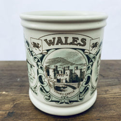 Denby Wales Mug