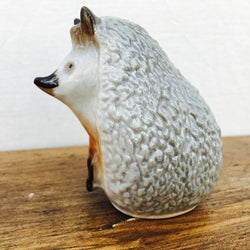 Lomonosov Hedgehog