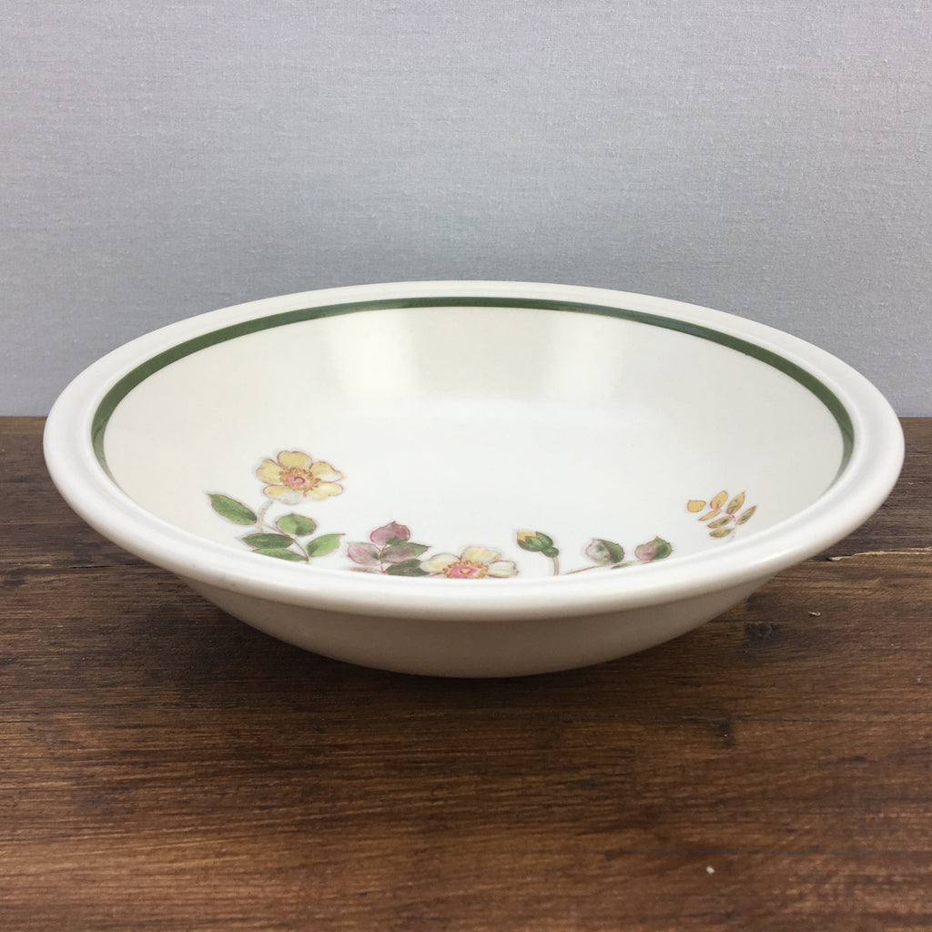 Marks & Spencer "Autumn Leaves" Soup/Cereal Bowl MrPottery