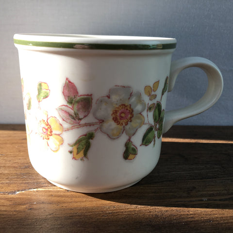 Marks & Spencer Autumn Leaves Tea Cup