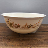 Marks & Spencer Harvest Mixing Bowl