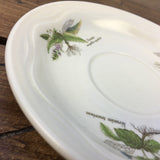 Poole Country Lane Coffee Saucer