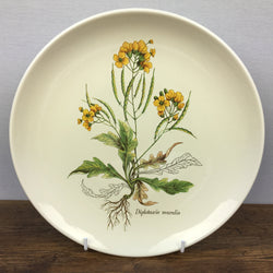 Poole Pottery Country Lane Glossy Salad Plate