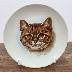 Poole Pottery « Plaque de transfert » - Derick Brown - Chat tigré