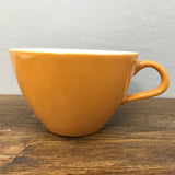 Poole Pottery Desert Song Tea Cup (Wide Style)