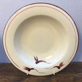 Poole Pottery Dragonfly Rimmed Bowl