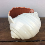 Poole Pottery Red Indian Rare Winkle Shell - Large