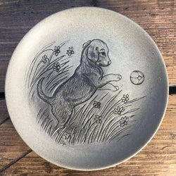 Poole Pottery Stoneware Plates - Puppy Beagle Playing with Ball