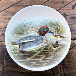 Poole Pottery Transfer Plate - John Gould - Teal