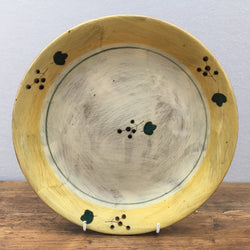 Poole Pottery Terracotta (Yellow) Dinner Plate