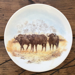 Poole Pottery „Transferteller“ – Savanna – Afrikanischer Büffel