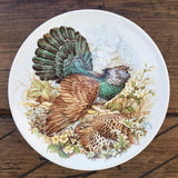Poole Pottery Transfer Plates Game Birds - Capercaillie