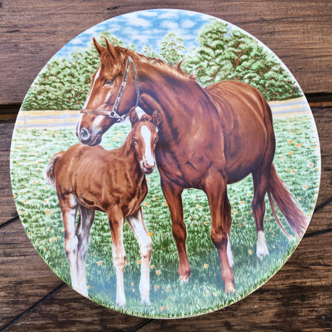 Poole Pottery Transfer Plate - Ponies - Mare & Dark Foal