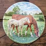 Poole Pottery Transfer Plate - Ponies - Mare & Light Foal