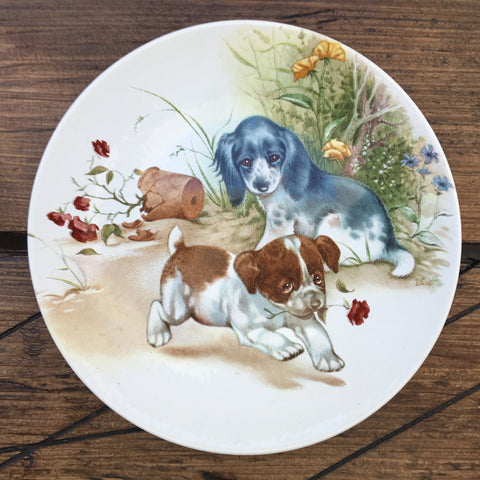 Poole Pottery Transfer Plate - Puppies - Two Puppies Playing