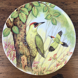 Poole Pottery Transfer Plate Woodpecker