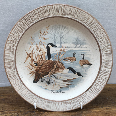 Purbeck Pottery Canada Geese