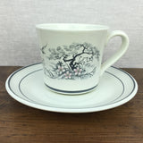 Royal Doulton Asian Dawn Tea Cup & Saucer