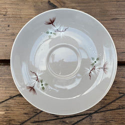 Royal Doulton Frost Pine Coffee Saucer
