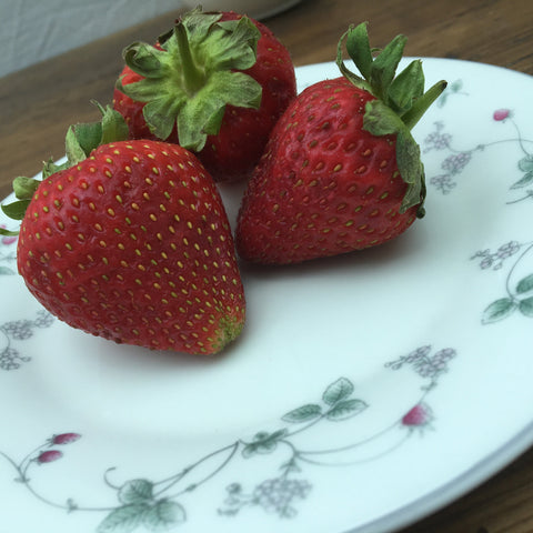 Royal Doulton Strawberry Fayre Bread & Butter Plate