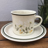 Royal Doulton Will o' the Wisp Tea Cup & Saucer