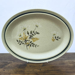 Royal Doulton Will o the Wisp Oval Serving Platter