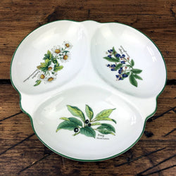Royal Worcester Worcester Herbs Hors D'oeuvre Dish