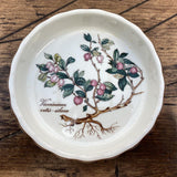 Villeroy & Boch Botanica Tartlet Dish Vaccinium