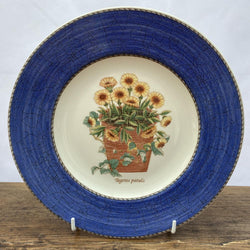 Wedgwood Sarah's Garden Starter/Dessert Plate (Blue)